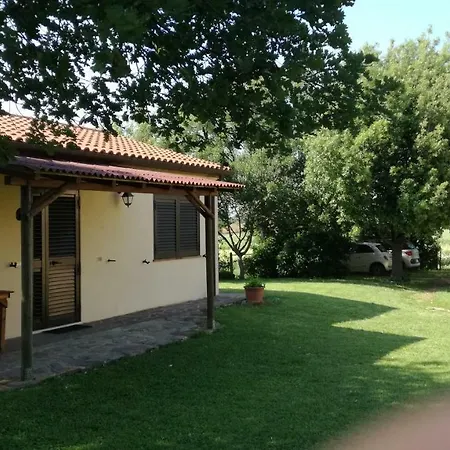 Cavallin Del Papa *