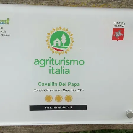Cavallin Del Papa *