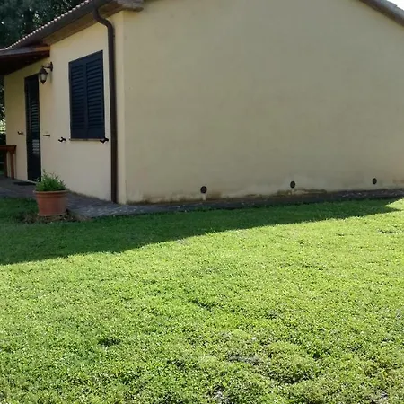 Cavallin Del Papa * Capalbio