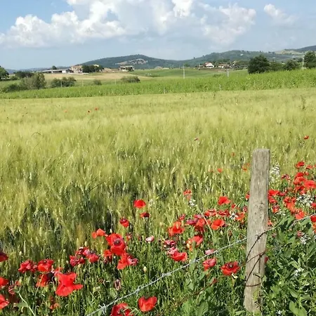 Cavallin Del Papa Capalbio