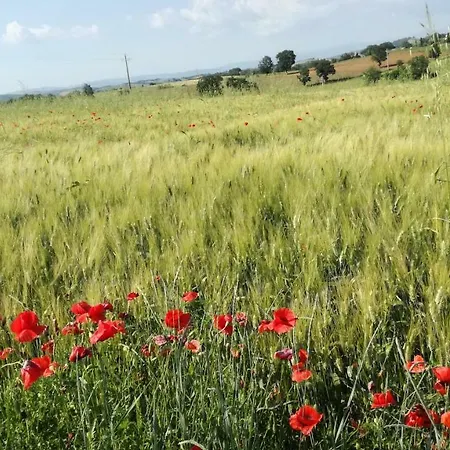 Cavallin Del Papa Capalbio