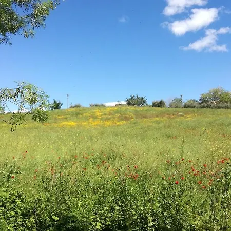 Cavallin Del Papa Διαμέρισμα *